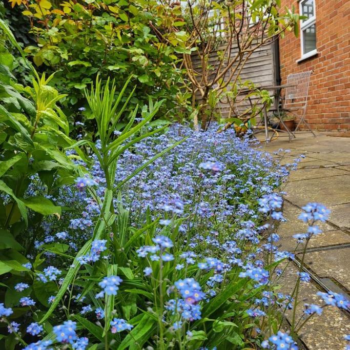 Cheerful, Cosy, One Bedroom Home With Patio And Parking Newbury  Eksteriør bilde